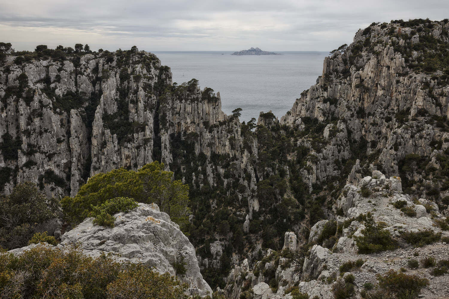 Real Surreal Landscape 1